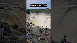 Hogenakkal Water Falls  Boating  Tamil nadu Karnataka border  shorts tamilnadu falls short [upl. by Gyimah]