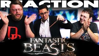 Fantastic Beasts and Where to Find Them Trailer REACTION [upl. by Hannala]