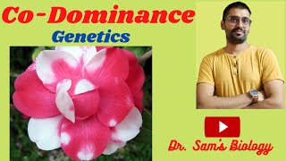 Codominance Genetics [upl. by Attiuqahs570]