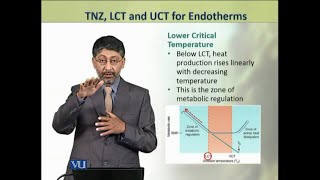 TNZ LCT and UCT for Endotherms  Animal Physiology and Behavior Theory  ZOO502TTopic224 [upl. by Kotz235]