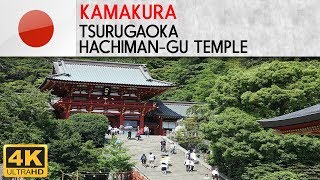 KAMAKURA  Tsurugaoka Hachimangu temple [upl. by Redleh981]