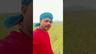 Dhaan kata tha Badal lyrics [upl. by Mosnar]