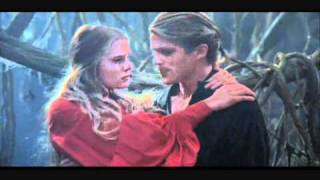 The Princess Bride Everything I Do [upl. by Addie]