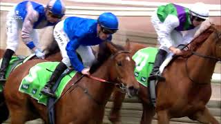 Every race from Penfolds Victoria Derby Day [upl. by Hopper]