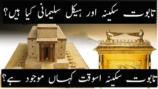 History of Taboot e Sakina And Haikal Sulemani Explained  Urdu Hindi [upl. by Brunhilde]