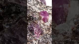 Corundum Craze Gems to Industry 2024 Along Tucson Mineral Mile [upl. by Haakon184]