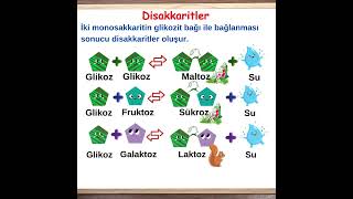 Ritmi Yükselten Bilgiler7 Disakkaritler [upl. by Sparhawk]