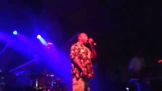 Michael Winslow Joins Animal Collective for Moonjock at Bonnaroo [upl. by Nivlam]