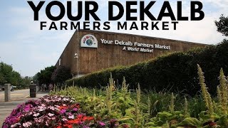 Driving to Your DeKalb Farmers Market  Atlanta [upl. by Fritze]