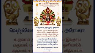 Sri Sankara Vidya Kendra Thiruvottiyur Murugan Thirukalyanam Greetings 2023 [upl. by Rancell143]