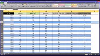 Alternating Row and Column Colors and Other Formatting Options in Excel [upl. by Llenet]