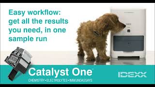 IDEXX Catalyst One  Chemistry Electrolytes and Immunoassays Analyzer [upl. by Pasquale841]