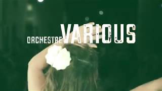 VARIOUS  Orchestre variété pop rock 2018 [upl. by Egoreg]