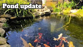 Pond update koipond [upl. by Dippold]