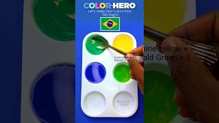 Guess the mixed Flag Colors part 2 paintmixing colormixing guessthecolour asmr [upl. by Bayly112]