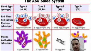 Blood Type Explanation [upl. by Akiret797]