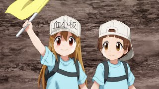 Cells at Work Trailer 2 [upl. by Atkins850]