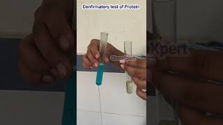 Confirmatory Test For ProteinBiuret Test  Class 12 Food Analysis [upl. by Atnim]