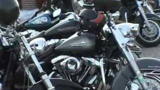 Harley Days Vienna [upl. by Steere]