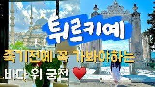 바다 위 푸른 궁전 돌마바흐체 투어💕 죽기전에 꼭 가봐야하는 이유는👍 튀르키예 여행🇹🇷 Ep7 [upl. by Colby]