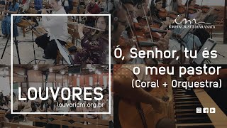 LOUVOR  Ó Senhor tu és o meu Pastor  Vídeo Coral e Orquestra  Igreja Cristã Maranata [upl. by Ashton716]