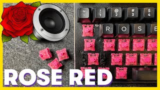 Akko ROSE RED Switches Sound Test  Lubed vs Stock and unboxing [upl. by Diraj457]