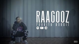 Pouriya Adroit  Raagooz Official Music Video [upl. by Neenad238]