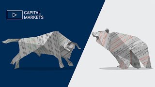 Capital Markets Autumn 2024 Bull and Bear Overview [upl. by Doerrer]