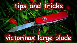 Tips and Tricks for Using a Large Blade in a Swiss Army Knife [upl. by Napas857]