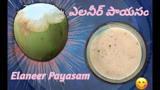 Elaneer Payasam  ఎలనీర్ పాయసం  Sruthis Recipes [upl. by Ilil]