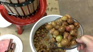 Home Made Scuppernong Wine [upl. by Ebneter]