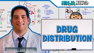 Pharmacokinetics  Drug Distribution [upl. by Annuaerb]