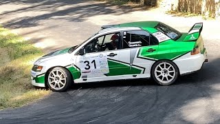 Rallye Velay Auvergne 2024 [upl. by Adnilre]