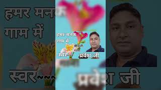 हमर मनक गाम में  HAMAR MANAK GAM ME  Full maithili songs by  Mr pravesh ji shortvideo maithili [upl. by Bethesda543]