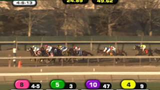 Verrazano  2013 Wood Memorial G1 [upl. by Shayn]