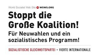 Was plant die Große Koalition wirklich Für Neuwahlen und ein sozialistisches Programm [upl. by Fowle947]