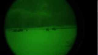 Night vision hunting  Dedal 480  Nigt vision boar hunting [upl. by Nilram]