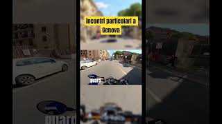 qual’è il vostro bolide invece perte bikelife neiperte 50cc viralvideo [upl. by Emerald]