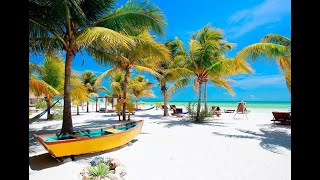 Best Hotels in Holbox Island Mexico 2023 [upl. by Drarreg]