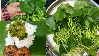 வல்லாரை கீரை துவையல்Vallarai Keerai ThuvaiyalBrahmi Leaves Chutney Recipe [upl. by Loos852]