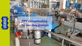 Twin Screw Extruder for TPV Extrusion Line  USEON [upl. by Stevy393]