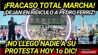 ¡FRACASO TOTAL MARCHA RIDICULO DE PEDRO FERRIZ NO LLEGO NADIE A SU PROTESTA EN ZOCALO Y ANGEL [upl. by Lynett507]