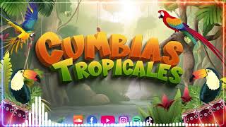 CUMBIAS TROPICALES PARA BAILAR🌴FITO OLIVARES LOS KARKIKS ACAPULCO TROPICAL🍹CUMBIAS VIEJITAS [upl. by Lockwood]