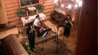 LT Milandre Trio nr1  Allegro viola damore cello flute [upl. by Alliuqa42]