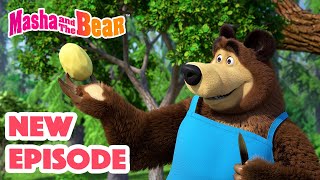 Masha and the Bear 2024 🎬 NEW EPISODE 🎬 Best cartoon collection 🥔 Soup Pursuit 🥕🍲 [upl. by Nymsaj]