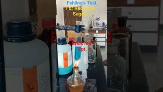 Fehling Test  Identification Test for reducing sugars chemistry electic biochemistry [upl. by Ecienahs]