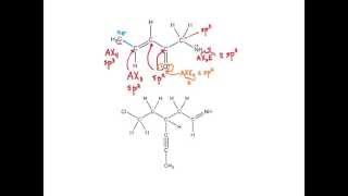 hybridization organic chemistry [upl. by Aisiram420]