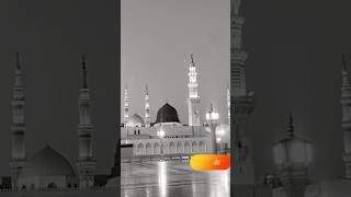 BiBi Aamina ke phool Allah hi allah madinah trendingshorts masjidnabawi [upl. by Hcirteid]