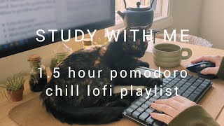 15 HOUR STUDY WITH ME  chill lofi palylist  pomodoro 255 [upl. by Eisteb]