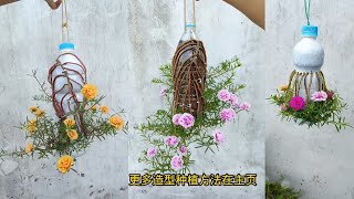 Creative planting ideas at home garden by container Beautiful flowers garden [upl. by Eelreveb871]